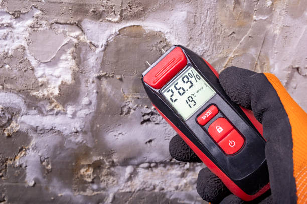 Best Industrial Mold Remediation in , CT